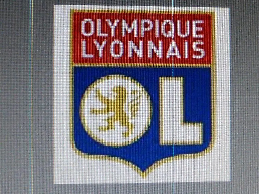 Laennec Otel Lyon