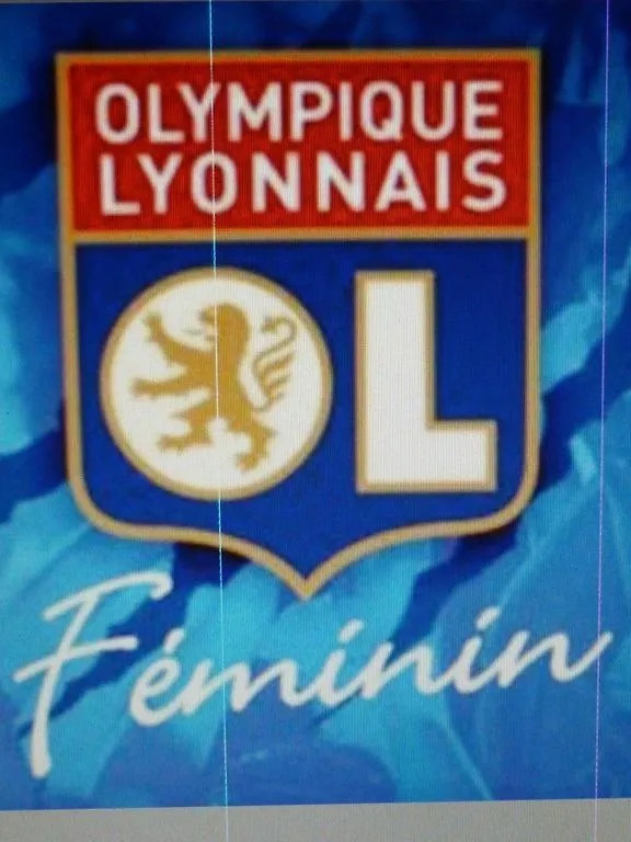 Laennec Otel Lyon